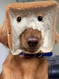 我的角色千千万