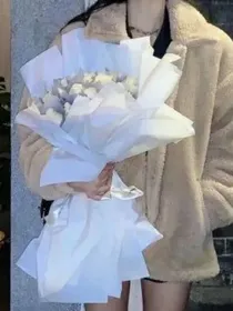 假面骑士：枯木逢春