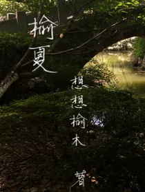 榆夏