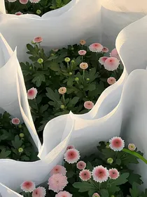 小闲一刻