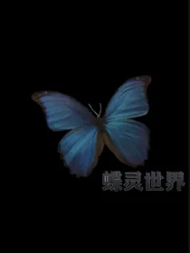 TF三代：蝶灵世界