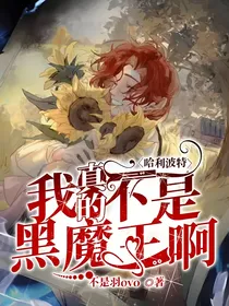 哈利波特：我真的不是黑魔王啊！