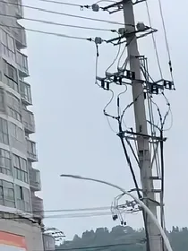 未捉住那抹碎花