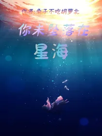 你未坠落在星海