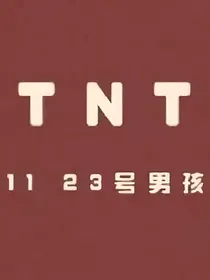 全明星：TNT攻略手册