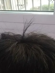 沙雕奇葩剧情（杂）