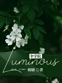 伞学院：Luminous