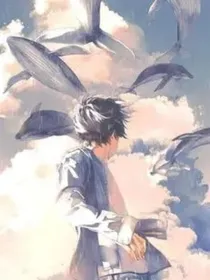 宠物……
