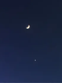 全职同人小说