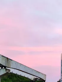 综影视之成精作怪