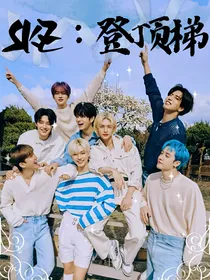 SKZ：登顶梯