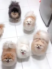 我怎么这么可爱？——图片