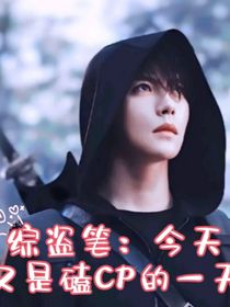 综盗笔：今天又是磕CP的一天
