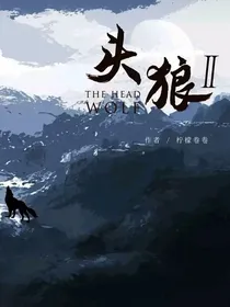 头狼be结局
