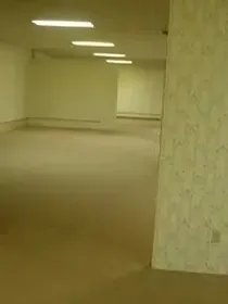 Thebackrooms之战