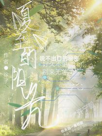夏至的阳光