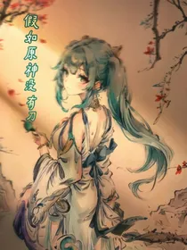 假如原神没有刀