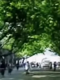 ……爱人……