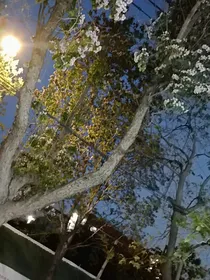 永怀那年