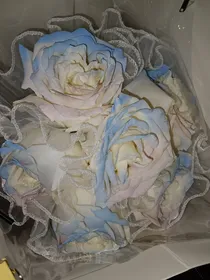白月光陨落回忆录
