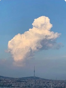 身份小卖铺