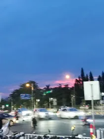 也是要飞的啊