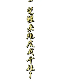 一觉醒来炮灰我开挂了