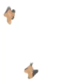 温柔獠牙