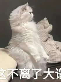 赛尔：论一小孩纸穿越到赛尔号