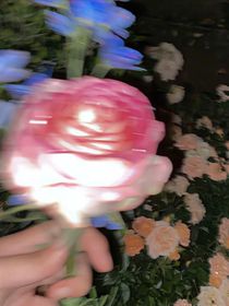 一束花的约定