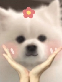 郑千南兰