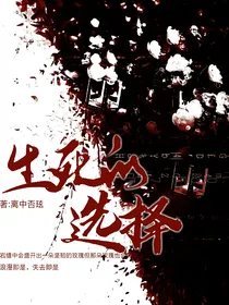 生死的选择（雷安同人）