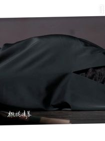 nrinei的小娇妻