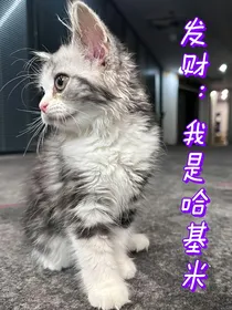 发财：我是哈基米？