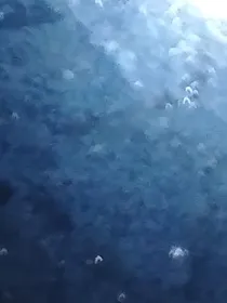 奔跑吧：就只是要开心