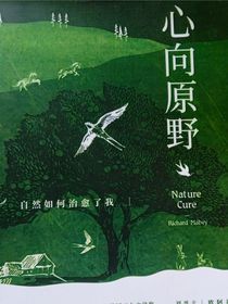 心向原野