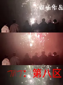TNT：第八区