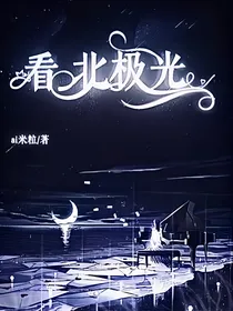 看，北极光