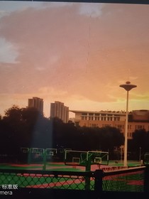 寻找青春的风景