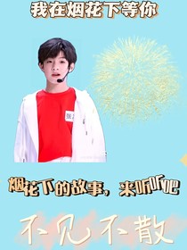 张泽禹：我在烟花下等你