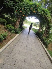 再来相逢