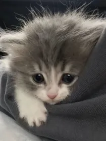 恰逢君