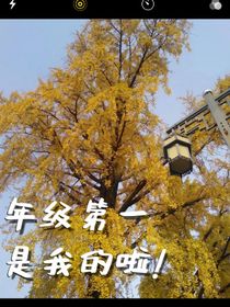 年级第一是我的啦！