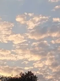 兽世：美人皆入怀