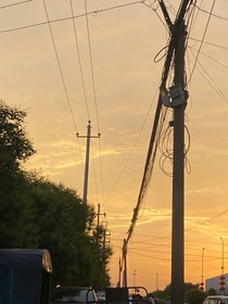 卧底我是专业的