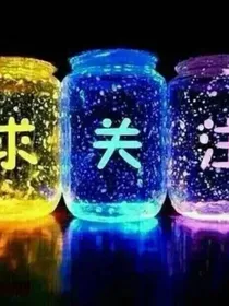 羽翼——再次相见