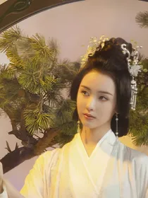 综影视：长月烬明之浴火重生的叶冰裳