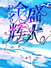 斗龙战士：余晖盛大