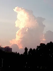生活真实
