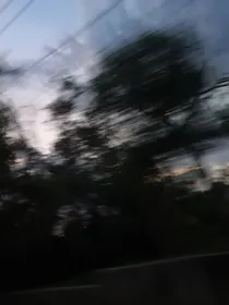 跨种族的爱吗？